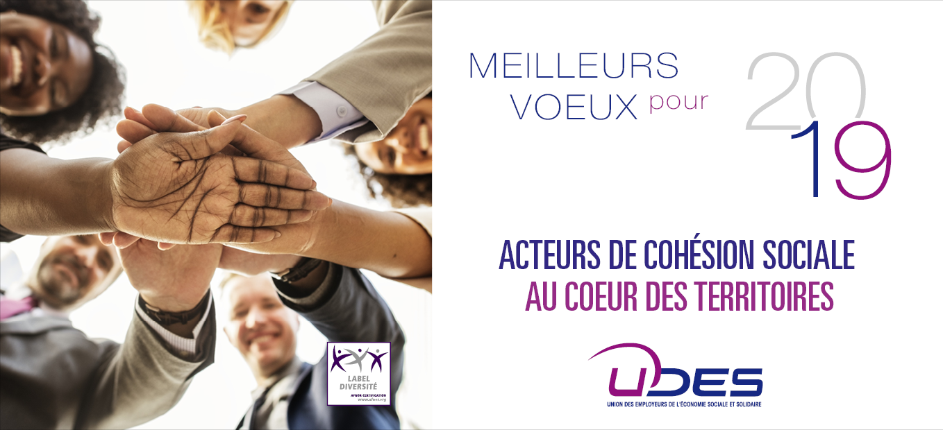 Carte de vœux 2019 de l'UDES